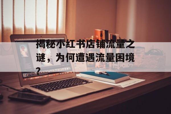 揭秘小红书店铺流量之谜，为何遭遇流量困境？