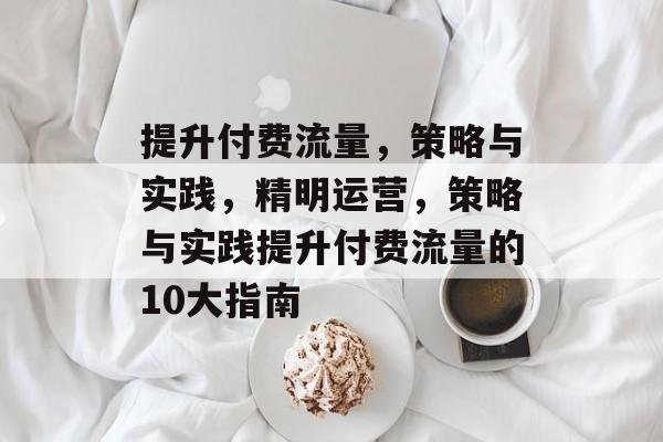 提升付费流量，策略与实践，精明运营，策略与实践提升付费流量的10大指南