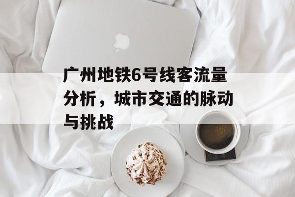 广州地铁6号线客流量分析，城市交通的脉动与挑战