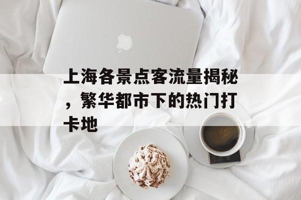 上海各景点客流量揭秘,繁华都市下的热门打卡地 上海各景点客流量揭秘,繁华都市下的热门打卡地