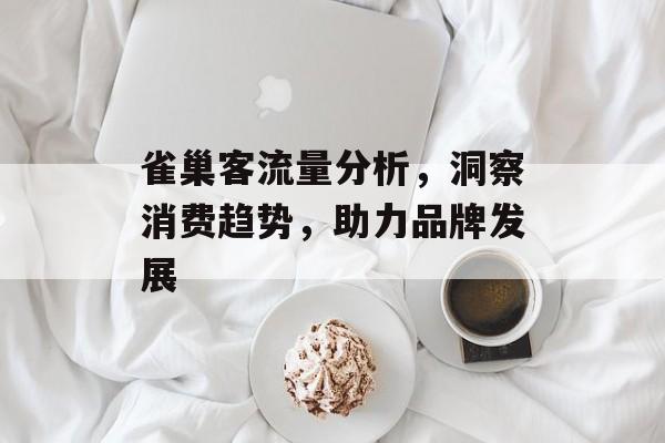 雀巢客流量分析,洞察消费趋势,助力品牌发展 雀巢客流量分析,洞察消费趋势,助力品牌发展
