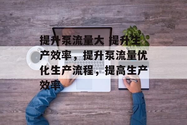 提升泵流量大 提升生产效率,提升泵流量优化生产流程,提高生产效率 提升泵流量大 提升生产效率,提升泵流量优化生产流程,提高生产效率