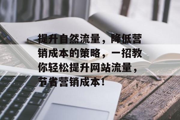 提升自然流量,降低营销成本的策略,一招教你轻松提升网站流量,节省营销成本! 提升自然流量,降低营销成本的策略,一招教你轻松提升网站流量,节省营销成本!