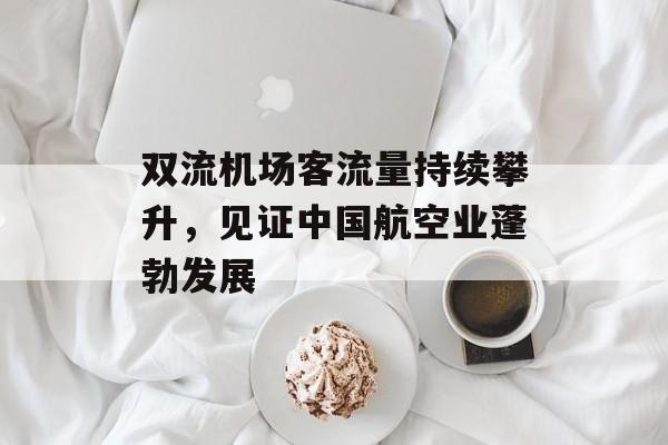 双流机场客流量持续攀升,见证中国航空业蓬勃发展 双流机场客流量持续攀升,见证中国航空业蓬勃发展