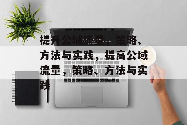 提升公域流量,策略、方法与实践,提高公域流量,策略、方法与实践 提升公域流量,策略、方法与实践,提高公域流量,策略、方法与实践