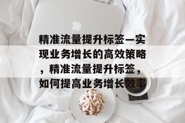 精准流量提升标签—实现业务增长的高效策略,精准流量提升标签,如何提高业务增长效率 精准流量提升标签—实现业务增长的高效策略,精准流量提升标签,如何提高业务增长效率