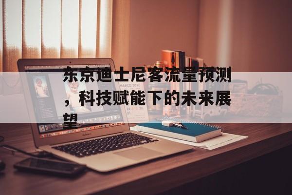 东京迪士尼客流量预测,科技赋能下的未来展望 东京迪士尼客流量预测,科技赋能下的未来展望