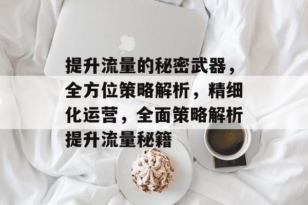 提升流量的秘密武器,全方位策略解析,精细化运营,全面策略解析提升流量秘籍 提升流量的秘密武器,全方位策略解析,精细化运营,全面策略解析提升流量秘籍