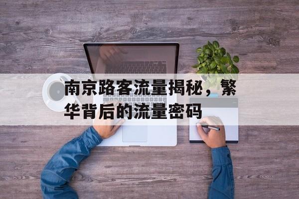 南京路客流量揭秘,繁华背后的流量密码 南京路客流量揭秘,繁华背后的流量密码