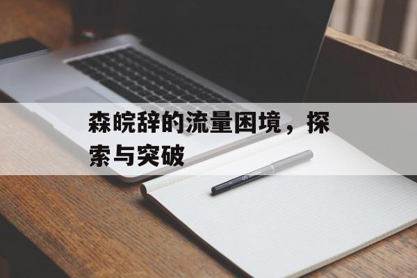 森皖辞的流量困境，探索与突破