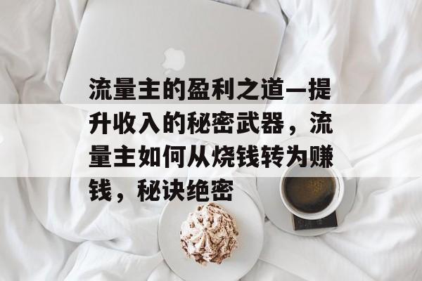 流量主的盈利之道—提升收入的秘密武器,流量主如何从烧钱转为赚钱,秘诀绝密 流量主的盈利之道—提升收入的秘密武器,流量主如何从烧钱转为赚钱,秘诀绝密