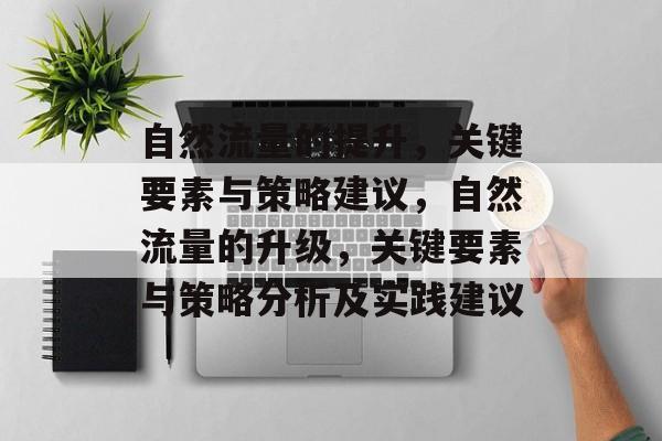自然流量的提升,关键要素与策略建议,自然流量的升级,关键要素与策略分析及实践建议 自然流量的提升,关键要素与策略建议,自然流量的升级,关键要素与策略分析及实践建议