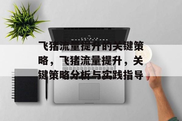 飞猪流量提升的关键策略,飞猪流量提升,关键策略分析与实践指导 飞猪流量提升的关键策略,飞猪流量提升,关键策略分析与实践指导