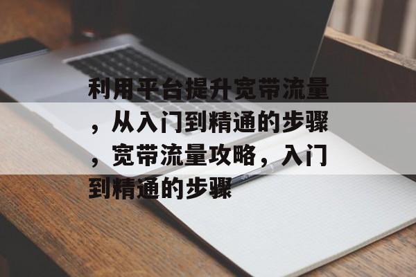 利用平台提升宽带流量，从入门到精通的步骤，宽带流量攻略，入门到精通的步骤