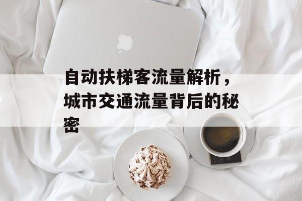 自动扶梯客流量解析,城市交通流量背后的秘密 自动扶梯客流量解析,城市交通流量背后的秘密