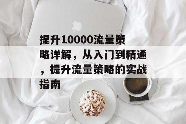 提升10000流量策略详解,从入门到精通,提升流量策略的实战指南 提升10000流量策略详解,从入门到精通,提升流量策略的实战指南
