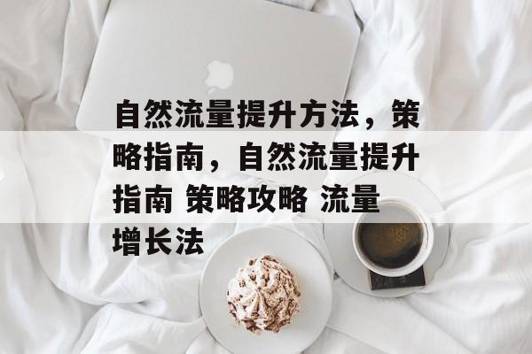 自然流量提升方法,策略指南,自然流量提升指南 策略攻略 流量增长法 自然流量提升方法,策略指南,自然流量提升指南 策略攻略 流量增长法