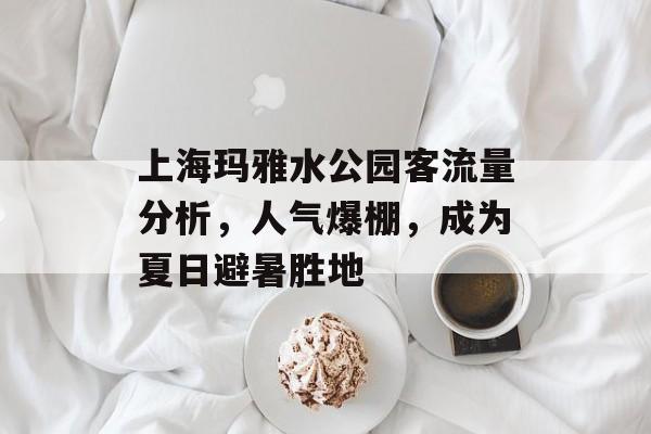 上海玛雅水公园客流量分析,人气爆棚,成为夏日避暑胜地 上海玛雅水公园客流量分析,人气爆棚,成为夏日避暑胜地