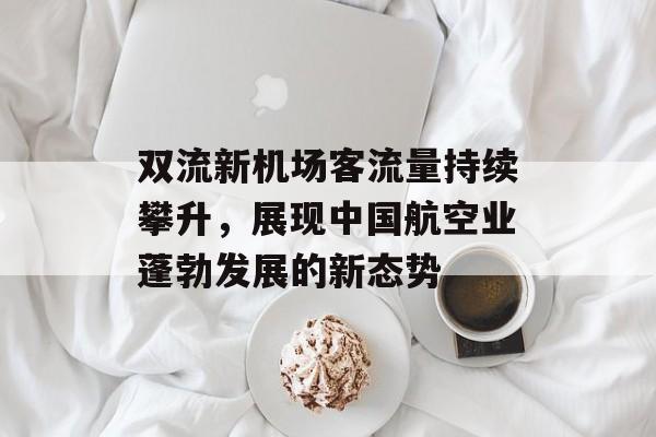 双流新机场客流量持续攀升，展现中国航空业蓬勃发展的新态势