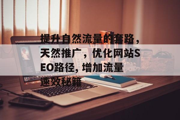 提升自然流量的套路，天然推广，优化网站SEO路径, 增加流量速效秘籍