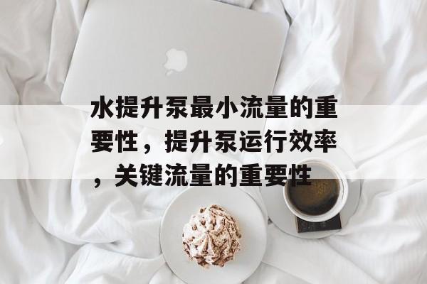 水提升泵最小流量的重要性，提升泵运行效率，关键流量的重要性