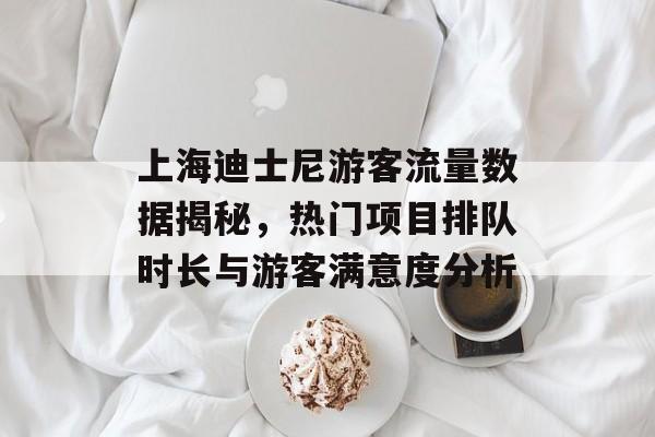 上海迪士尼游客流量数据揭秘,热门项目排队时长与游客满意度分析 上海迪士尼游客流量数据揭秘,热门项目排队时长与游客满意度分析