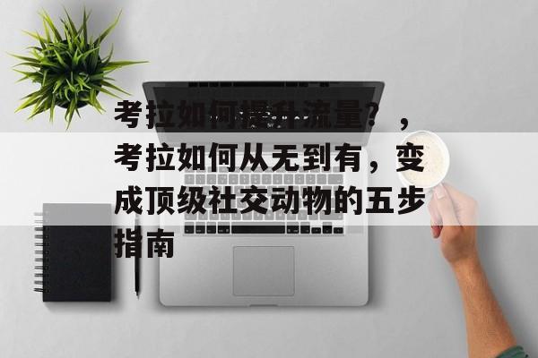 考拉如何提升流量?,考拉如何从无到有,变成顶级社交动物的五步指南 考拉如何提升流量?,考拉如何从无到有,变成顶级社交动物的五步指南