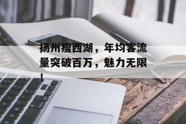 扬州瘦西湖,年均客流量突破百万,魅力无限! 扬州瘦西湖,年均客流量突破百万,魅力无限!