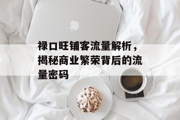 禄口旺铺客流量解析,揭秘商业繁荣背后的流量密码 禄口旺铺客流量解析,揭秘商业繁荣背后的流量密码
