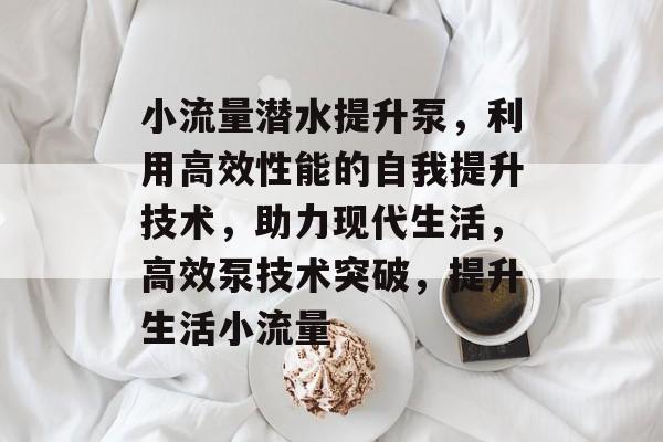 小流量潜水提升泵,利用高效性能的自我提升技术,助力现代生活,高效泵技术突破,提升生活小流量 小流量潜水提升泵,利用高效性能的自我提升技术,助力现代生活,高效泵技术突破,提升生活小流量