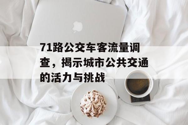 71路公交车客流量调查,揭示城市公共交通的活力与挑战 71路公交车客流量调查,揭示城市公共交通的活力与挑战
