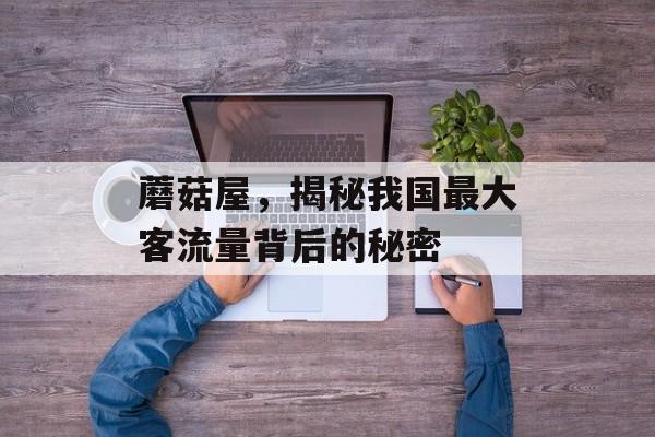 蘑菇屋,揭秘我国最大客流量背后的秘密 蘑菇屋,揭秘我国最大客流量背后的秘密