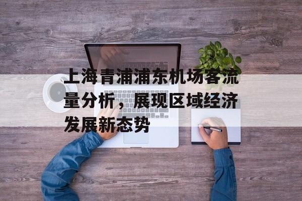 上海青浦浦东机场客流量分析,展现区域经济发展新态势 上海青浦浦东机场客流量分析,展现区域经济发展新态势