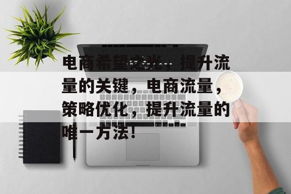 电商希望之光，提升流量的关键，电商流量，策略优化，提升流量的唯一方法！