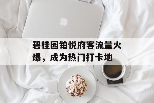碧桂园铂悦府客流量火爆,成为热门打卡地 碧桂园铂悦府客流量火爆,成为热门打卡地