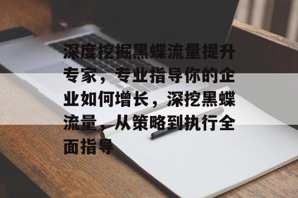 深度挖掘黑蝶流量提升专家,专业指导你的企业如何增长,深挖黑蝶流量,从策略到执行全面指导 深度挖掘黑蝶流量提升专家,专业指导你的企业如何增长,深挖黑蝶流量,从策略到执行全面指导