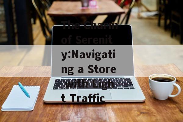 The Charm of Serenity:Navigating a Store with Light Traffic The Charm of Serenity:Navigating a Store with Light Traffic