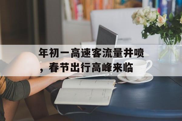 年初一高速客流量井喷,春节出行高峰来临 年初一高速客流量井喷,春节出行高峰来临