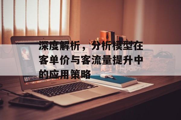 深度解析，分析模型在客单价与客流量提升中的应用策略