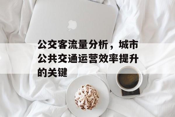 公交客流量分析,城市公共交通运营效率提升的关键 公交客流量分析,城市公共交通运营效率提升的关键