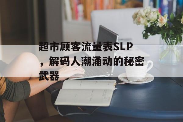 超市顾客流量表SLP,解码人潮涌动的秘密武器 超市顾客流量表SLP,解码人潮涌动的秘密武器