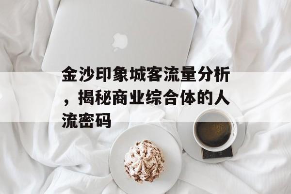 金沙印象城客流量分析，揭秘商业综合体的人流密码