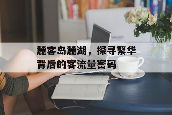 麓客岛麓湖,探寻繁华背后的客流量密码 麓客岛麓湖,探寻繁华背后的客流量密码