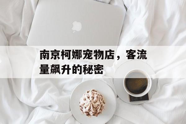 南京柯娜宠物店,客流量飙升的秘密 南京柯娜宠物店,客流量飙升的秘密