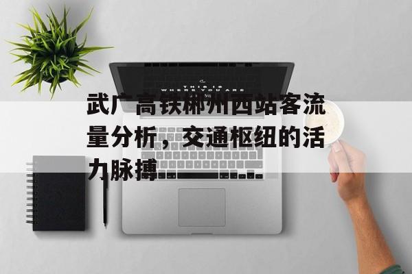 武广高铁郴州西站客流量分析,交通枢纽的活力脉搏 武广高铁郴州西站客流量分析,交通枢纽的活力脉搏