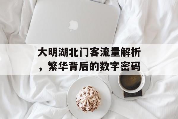 大明湖北门客流量解析,繁华背后的数字密码 大明湖北门客流量解析,繁华背后的数字密码
