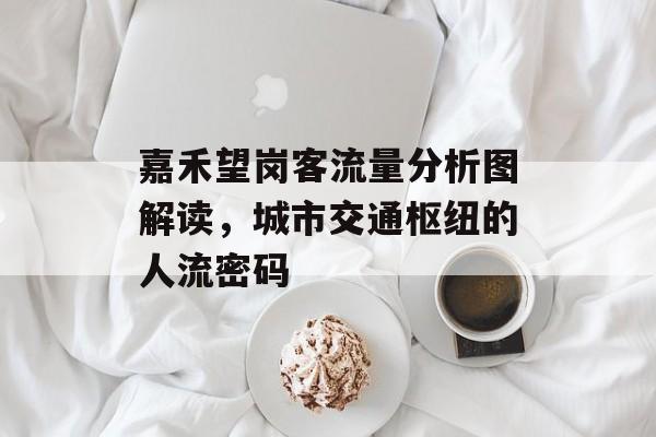 嘉禾望岗客流量分析图解读,城市交通枢纽的人流密码 嘉禾望岗客流量分析图解读,城市交通枢纽的人流密码
