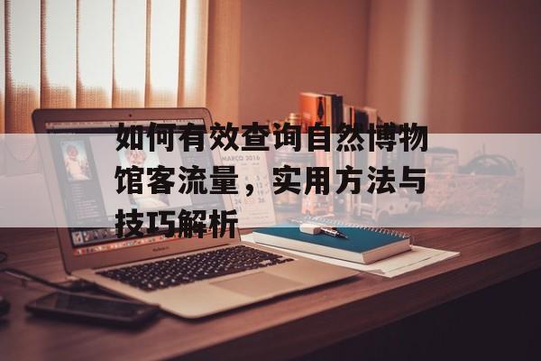 如何有效查询自然博物馆客流量,实用方法与技巧解析 如何有效查询自然博物馆客流量,实用方法与技巧解析