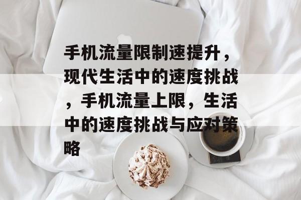 手机流量限制速提升,现代生活中的速度挑战,手机流量上限,生活中的速度挑战与应对策略 手机流量限制速提升,现代生活中的速度挑战,手机流量上限,生活中的速度挑战与应对策略