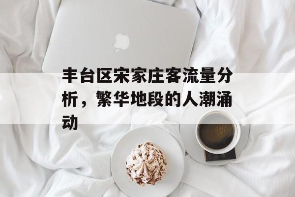 丰台区宋家庄客流量分析,繁华地段的人潮涌动 丰台区宋家庄客流量分析,繁华地段的人潮涌动